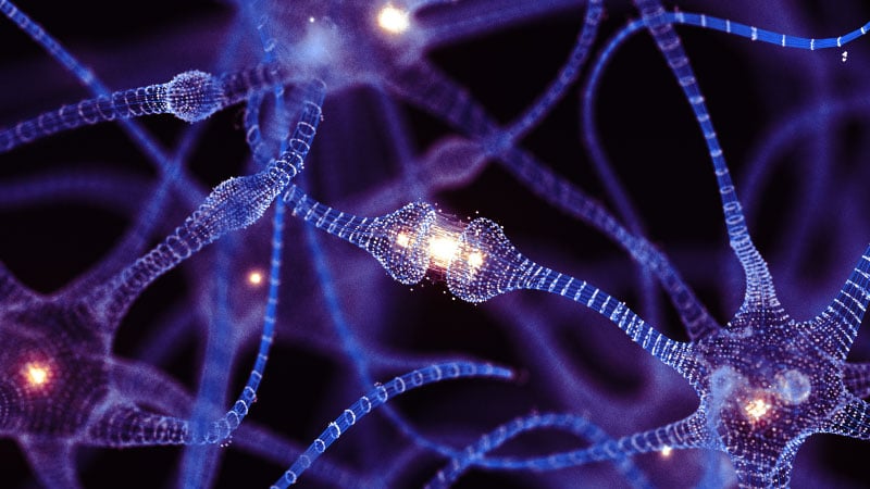 AI imperatives image